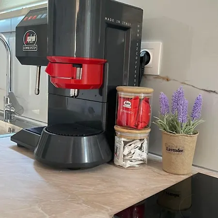 公寓 Vraxlida Living 希马拉