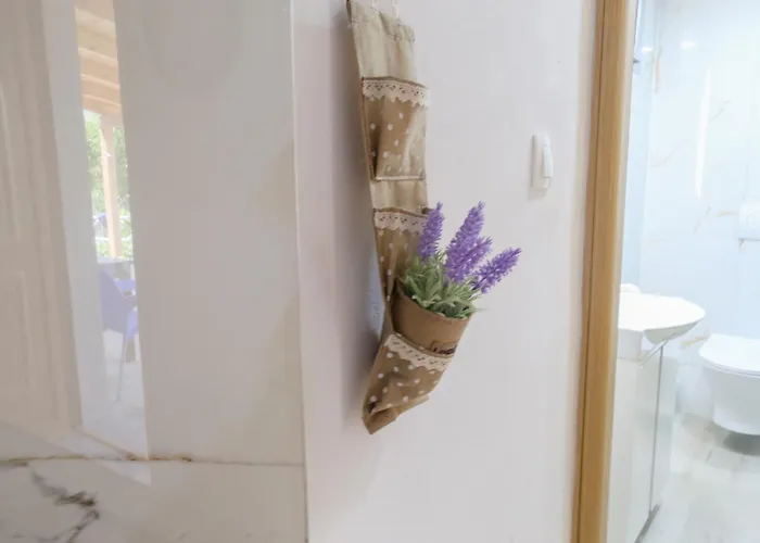 Apartamento Vraxlida Living